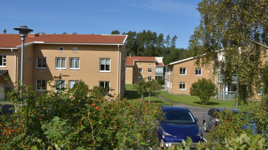 Tre av de fyra husen sett från Sjöbackavägen