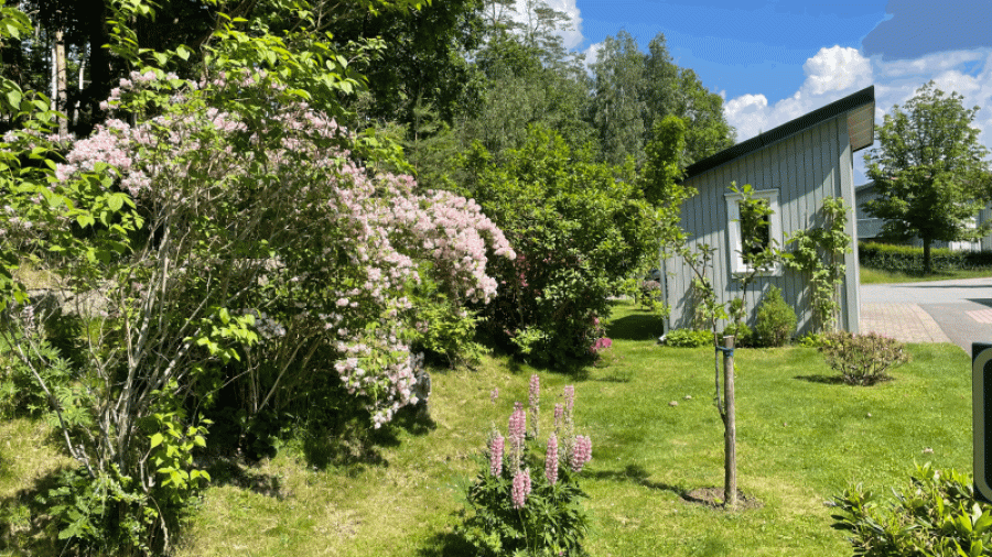 Förråd för cyklar och trädgårdsgrejer vid varje hus