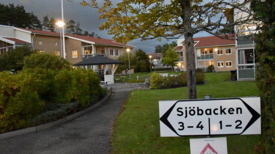 Modern ledbelysning lyser upp trädgården