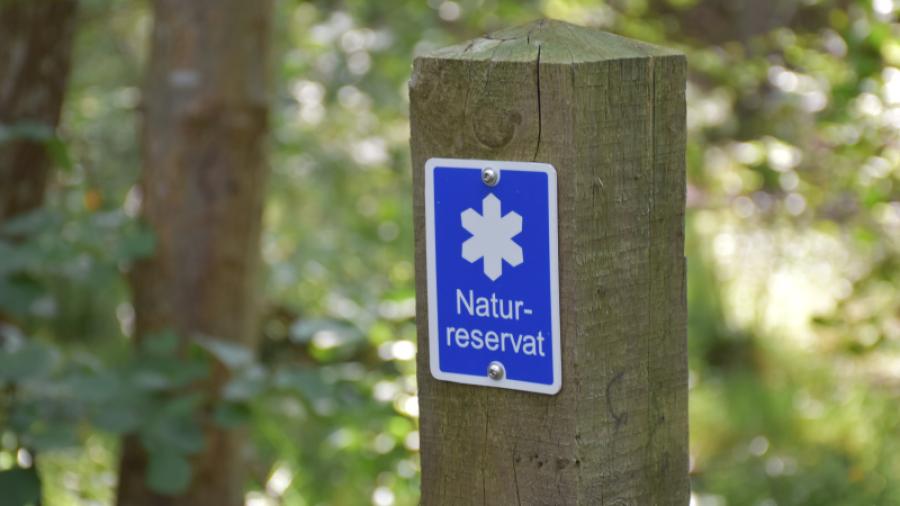 Utanför tomten Naturreservat hela vägen mot havet 