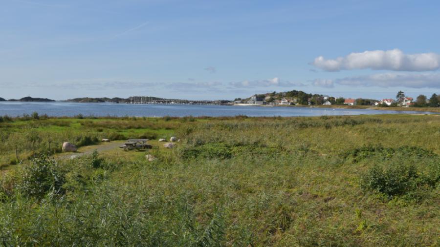 Strandängarna vid Billdals kyrka med Killingsholmen i bakgrunden